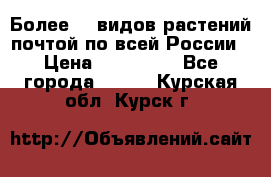 Более200 видов растений почтой по всей России › Цена ­ 100-500 - Все города  »    . Курская обл.,Курск г.